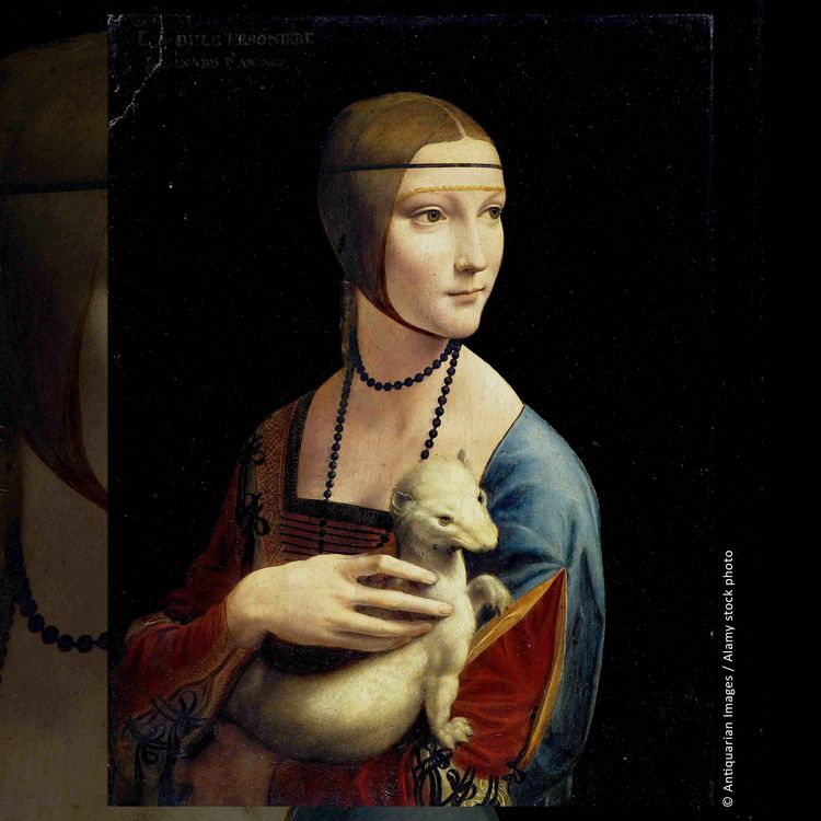 cover art for Die Dame mit dem Hermelin