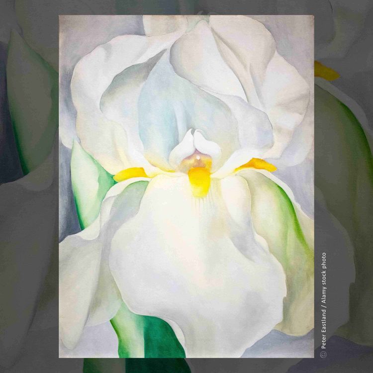 cover art for Weiße Iris Nr. 7