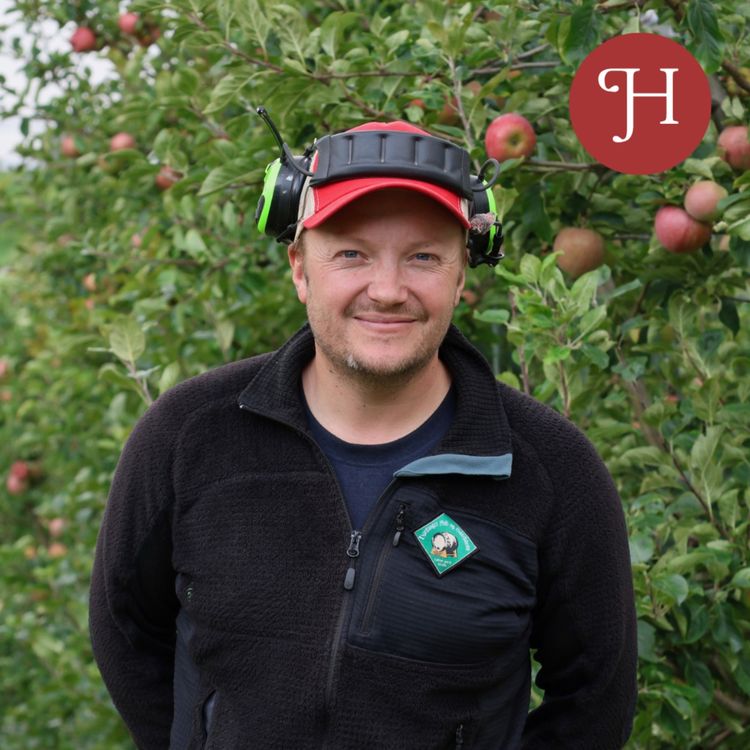 cover art for Hardangerfolk