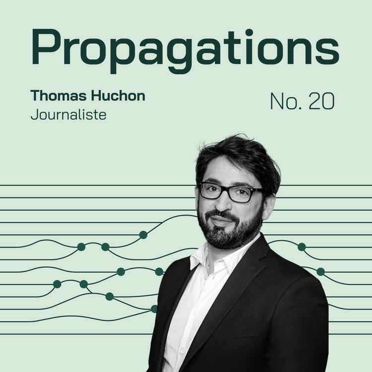 cover art for Du complotisme artisanal à l'industrie de la manipulation : anatomie d'une mutation