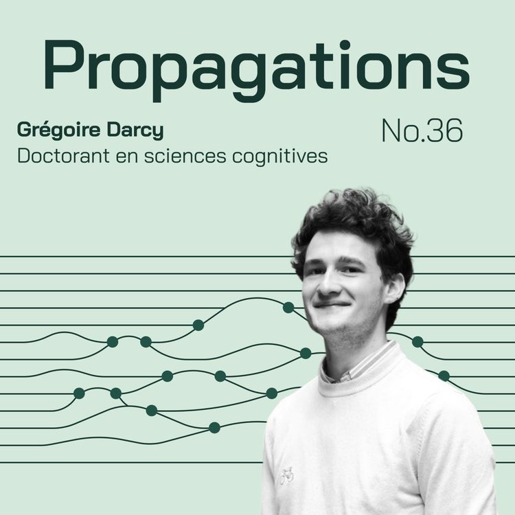 cover art for Désinformation : anatomie d'une notion