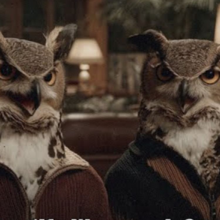 cover art for Shopify Wins Black Friday, Spotify Wrapped & Will OpenAI Run Ads?