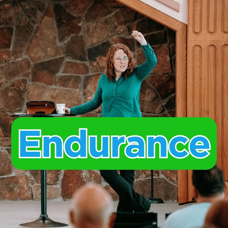cover art for Endurance