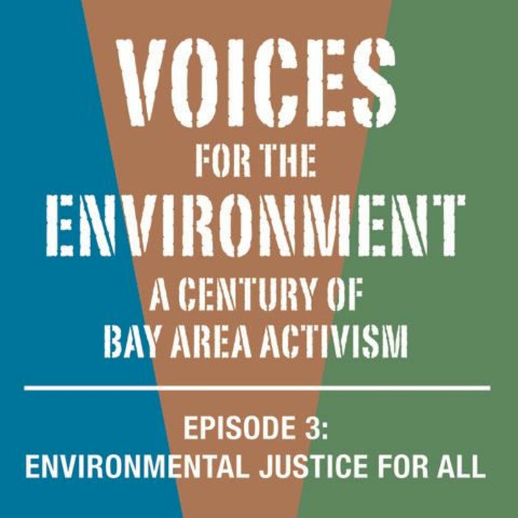 cover art for Voices for the Environment, Episode 3 - Environmental Justice for All