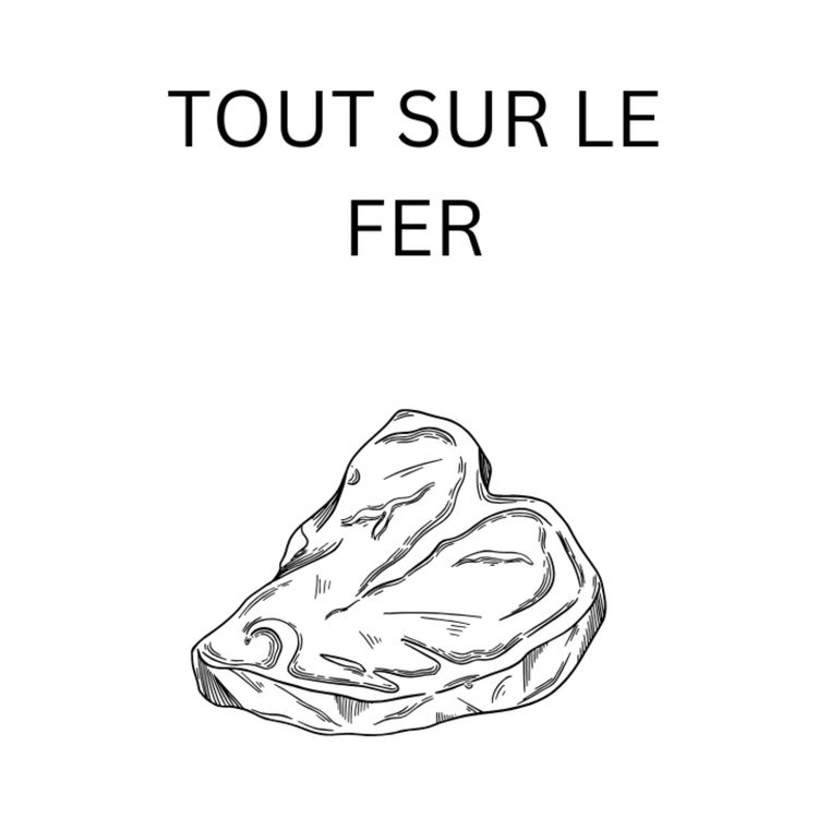 cover art for Tout Savoir Sur Le Fer