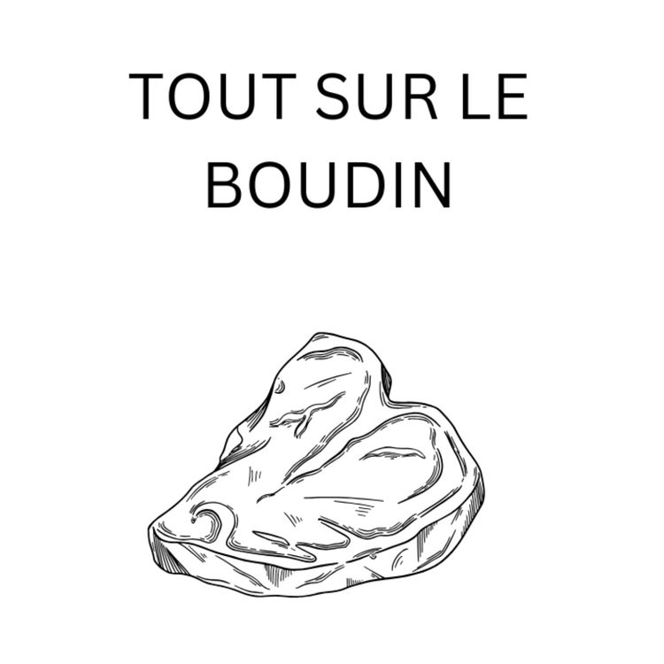 cover art for Le Champion Du Monde Du Fer Héminique...