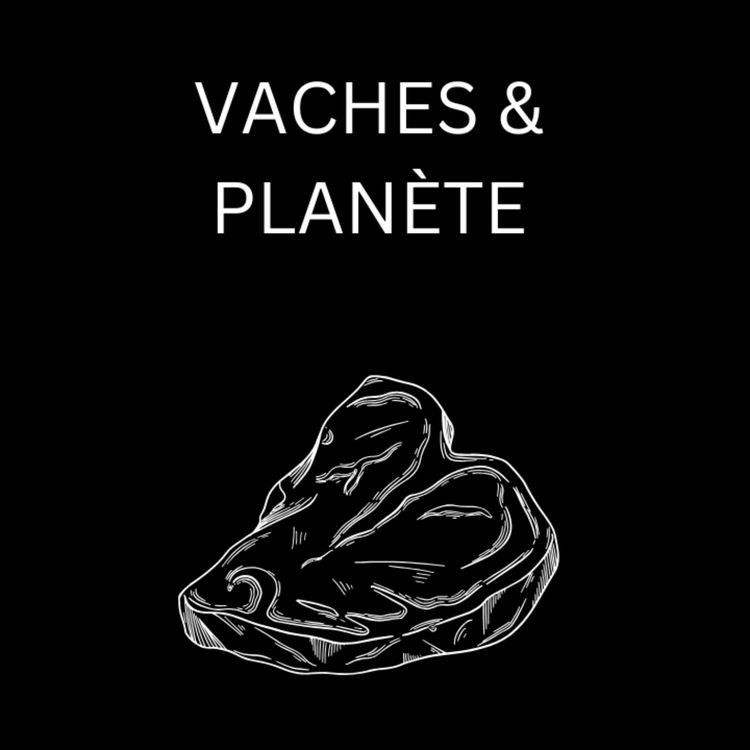 cover art for Pourquoi Les Vaches ?