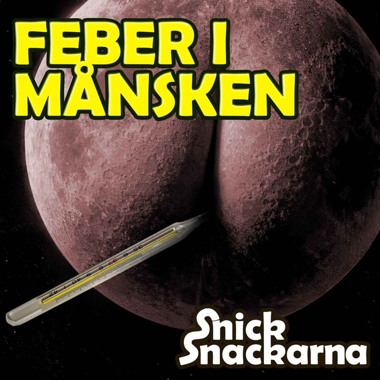 cover art for Våfflor & Feber i Månsken