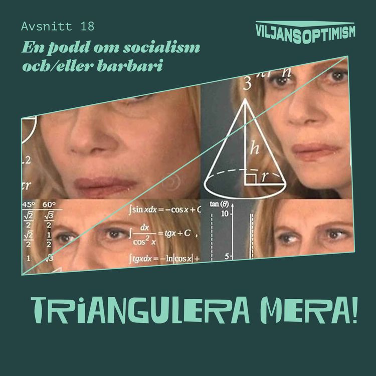 cover art for 18. Triangulera mera!