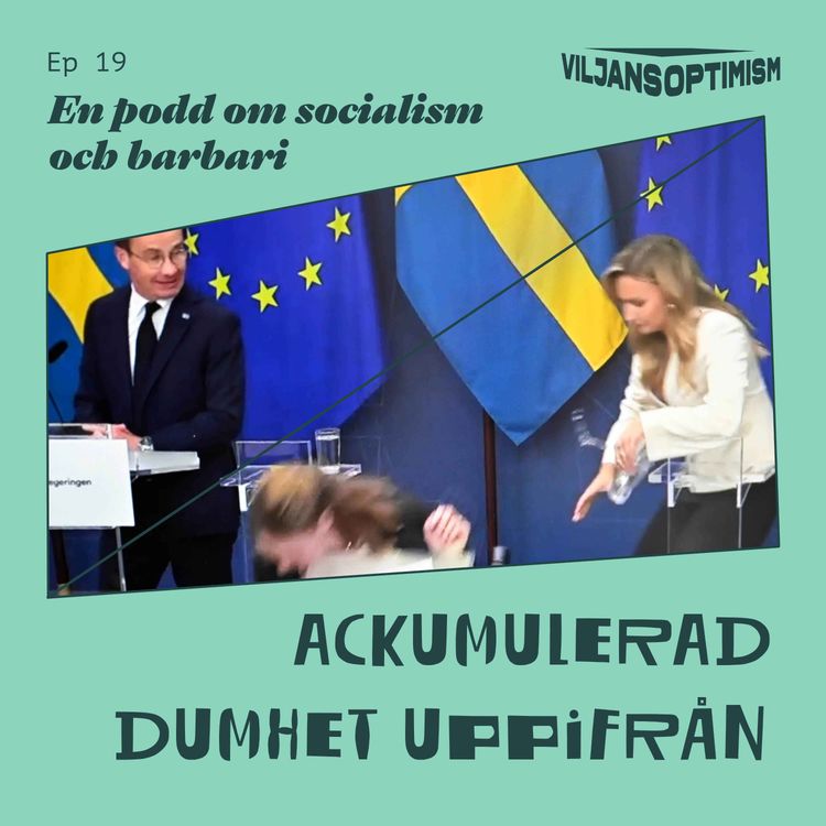 cover art for 19. Ackumulerad dumhet uppifrån