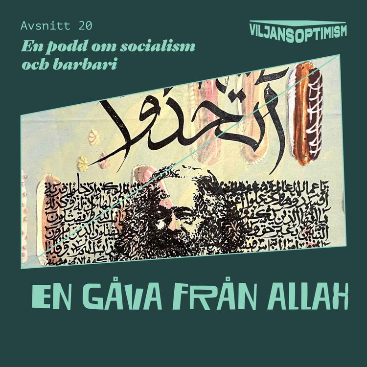 cover art for 20. En gåva från Allah