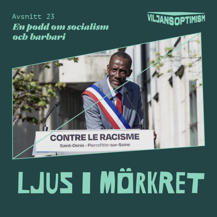 cover art for 23. Ljus i mörkret