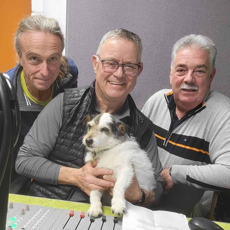 cover art for Jetty plans at Flushing