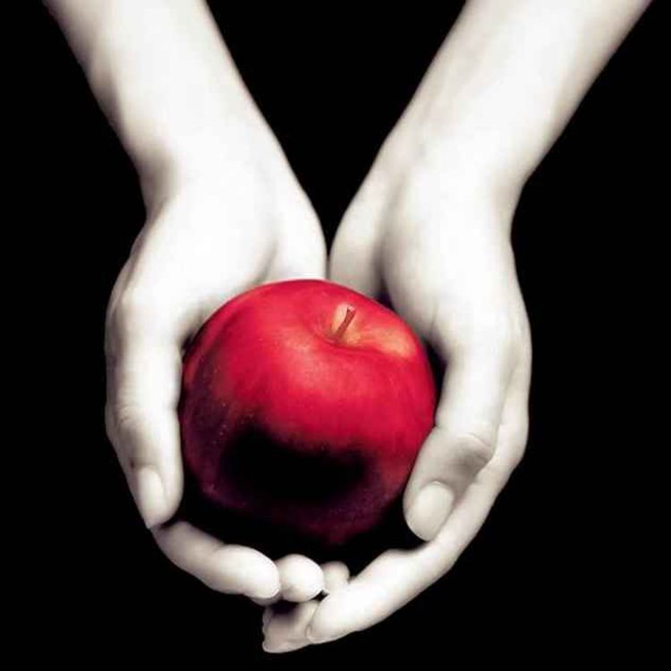 cover art for Twilight