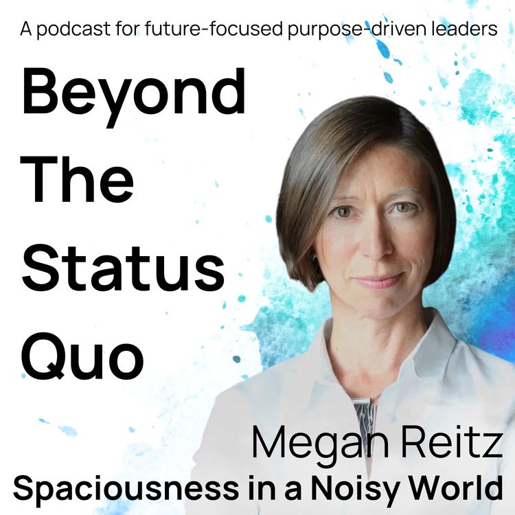 cover art for Megan Reitz- Spaciousness in a Noisy World