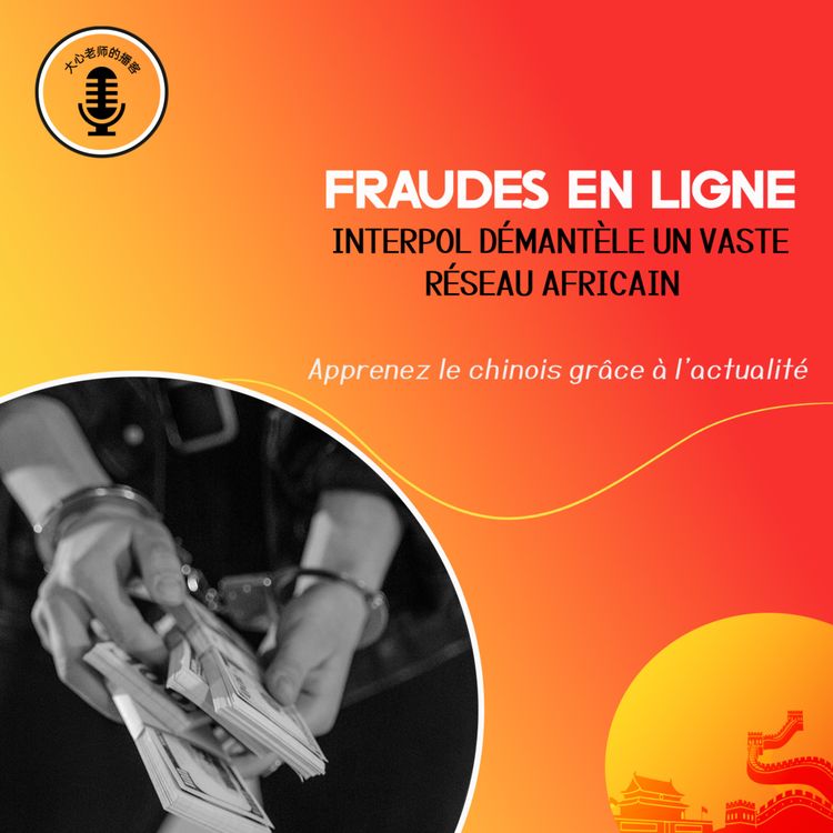 cover art for Fraudes en ligne Interpol démantèle un vaste réseau africain