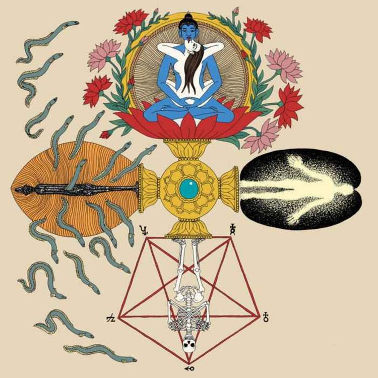 cover art for Les Carnets du Soir 22/01/26