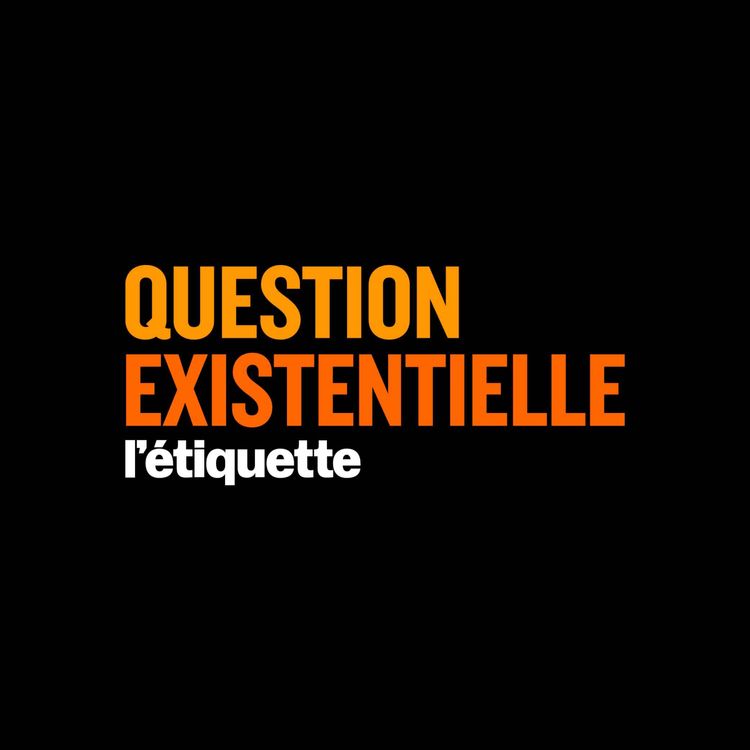 cover art for Question N°3 - Y a-t-il un style français ?