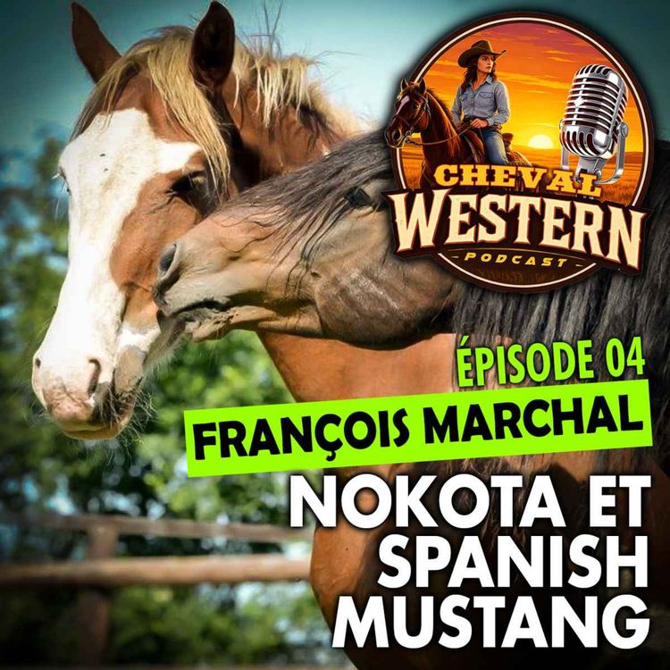 cover art for #04 : Nokotas et Spanish Mustangs