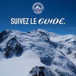 cover art for Suivez le guide