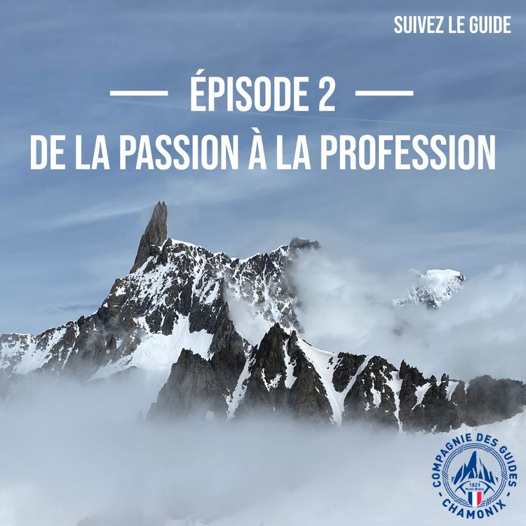 cover art for De la passion à la profession