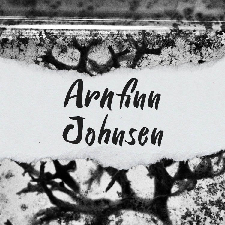 cover art for Arnfinn Johnsen