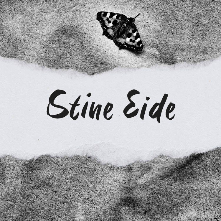 cover art for Stine Eide