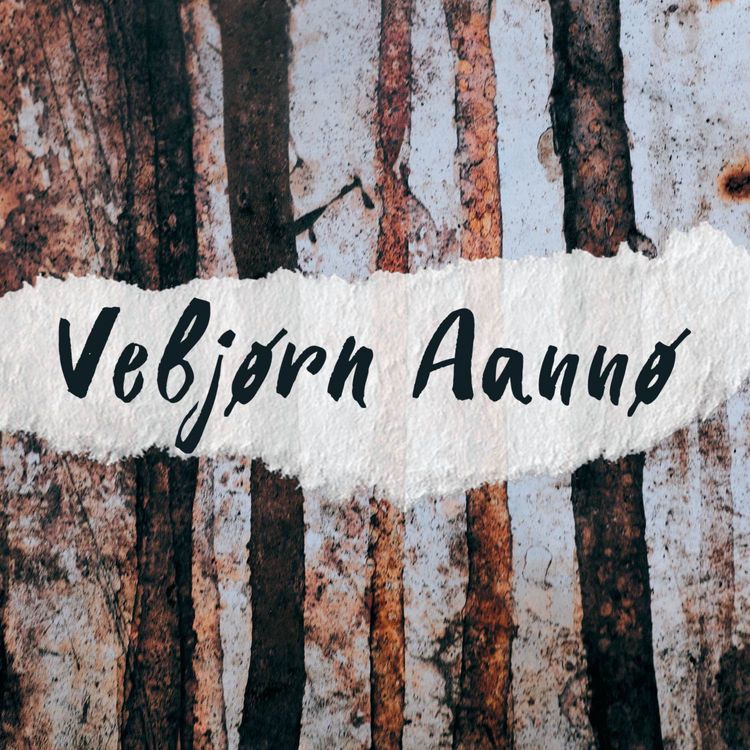 cover art for Vebjørn Aannø