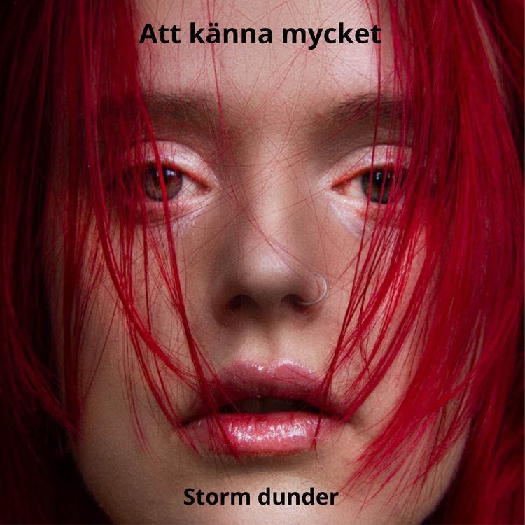 cover art for STORM DUNDER
