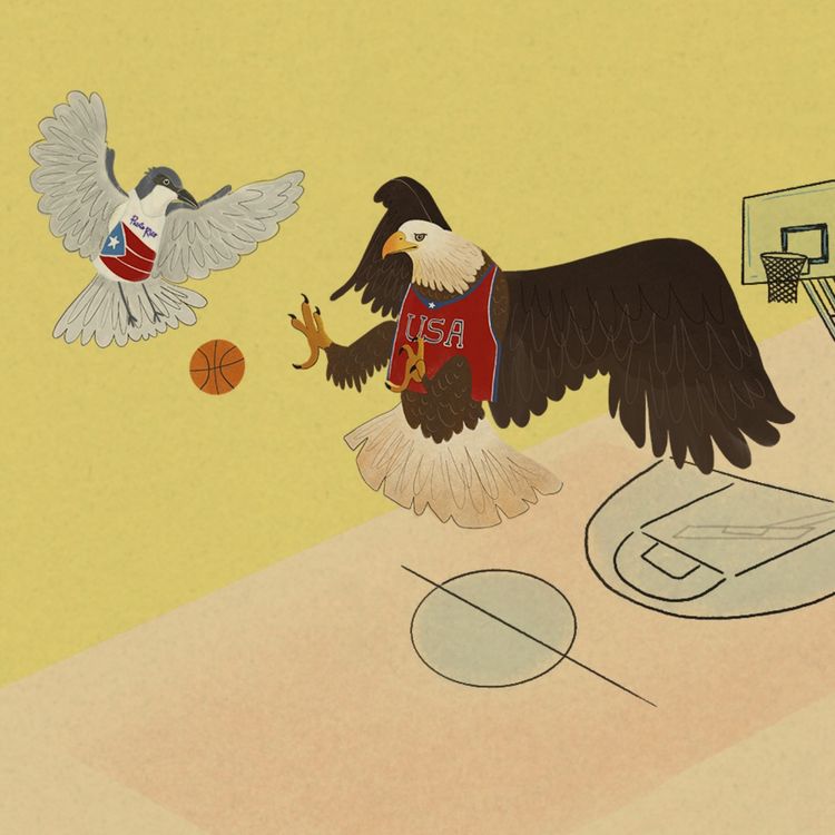 cover art for 5. Guerreros del basket