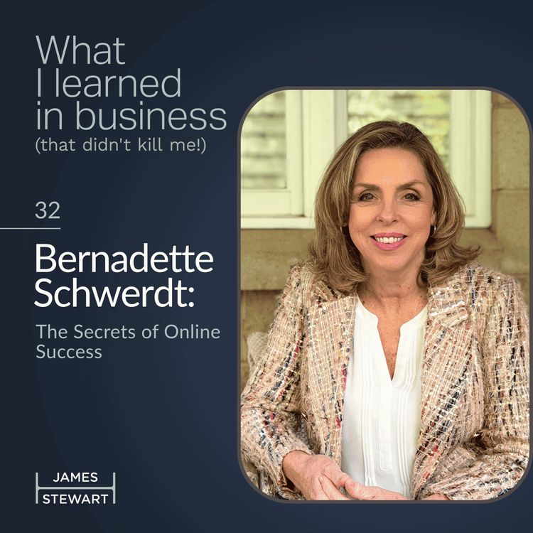 cover art for Bernadette Schwerdt: The Secrets of Online Success