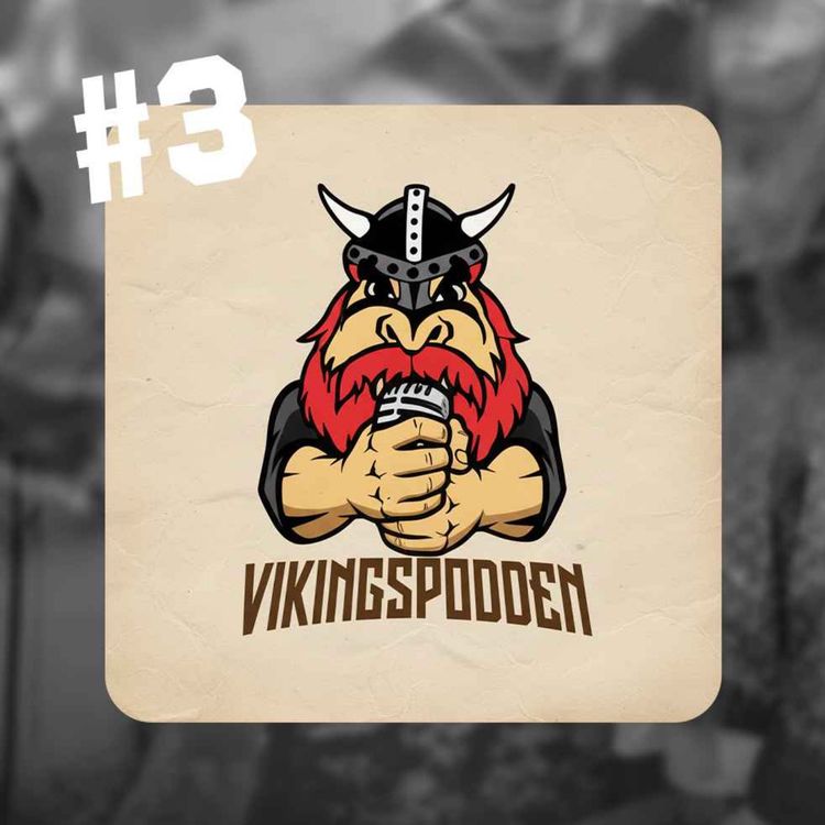 cover art for Beata Wiking