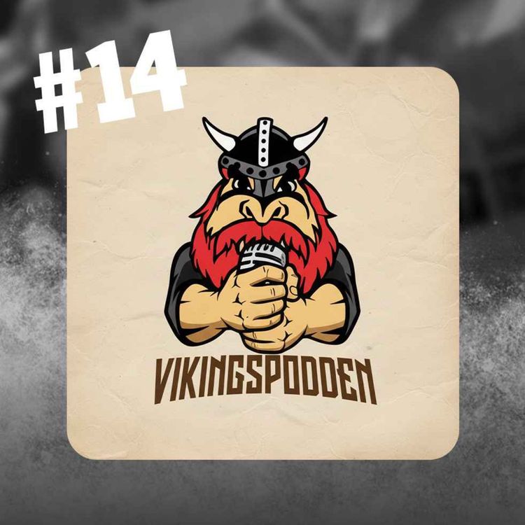 cover art for Snökaoset på E22