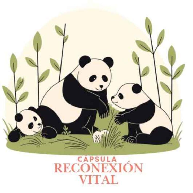 cover art for No existe una sola respuesta