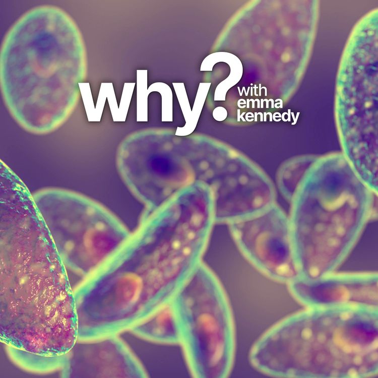 cover art for Why everything you think about parasites is wrong