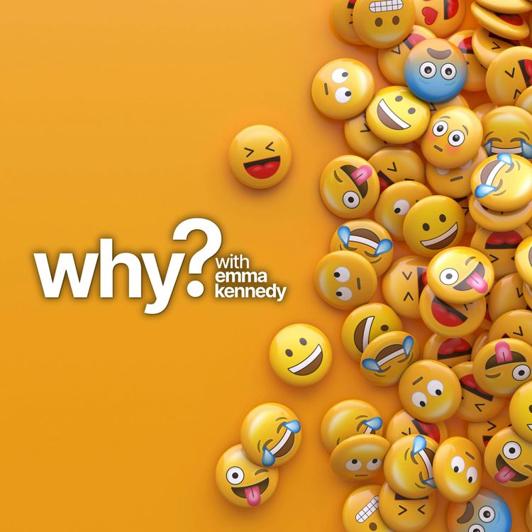 cover art for Why do we laugh?