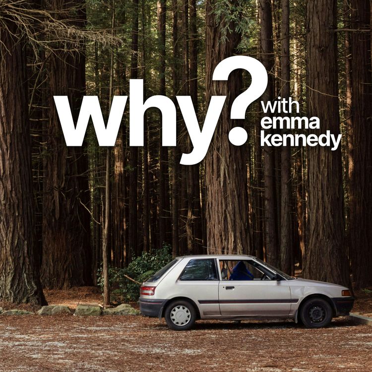 cover art for Why do swingers swing?