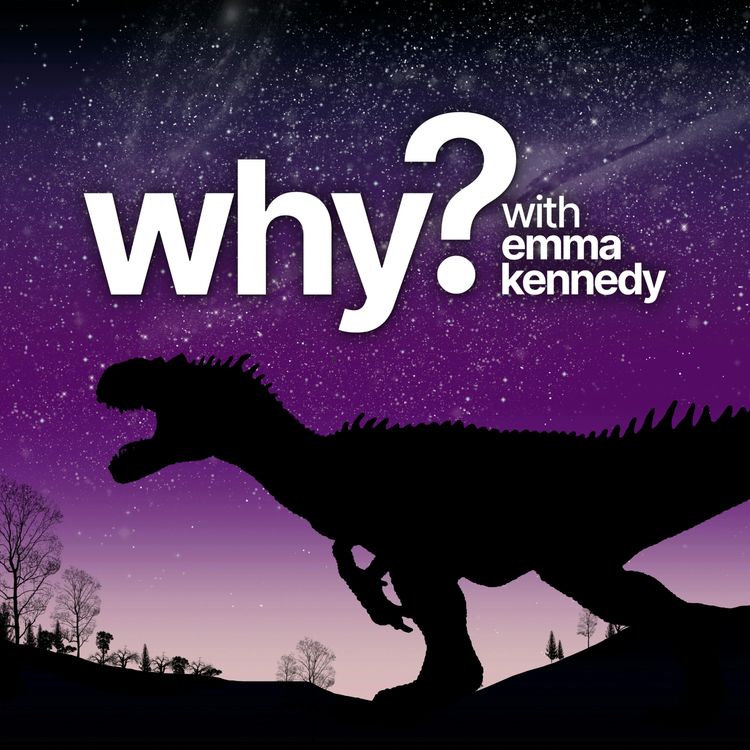 cover art for Could we make a real Jurassic Park?