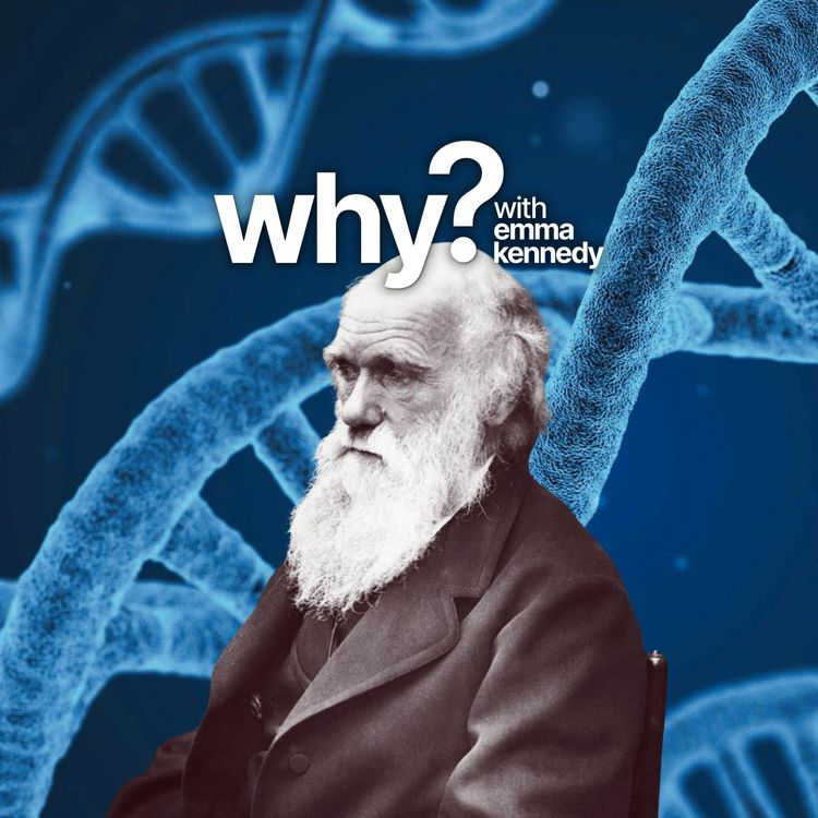cover art for Will we ever really understand evolution?