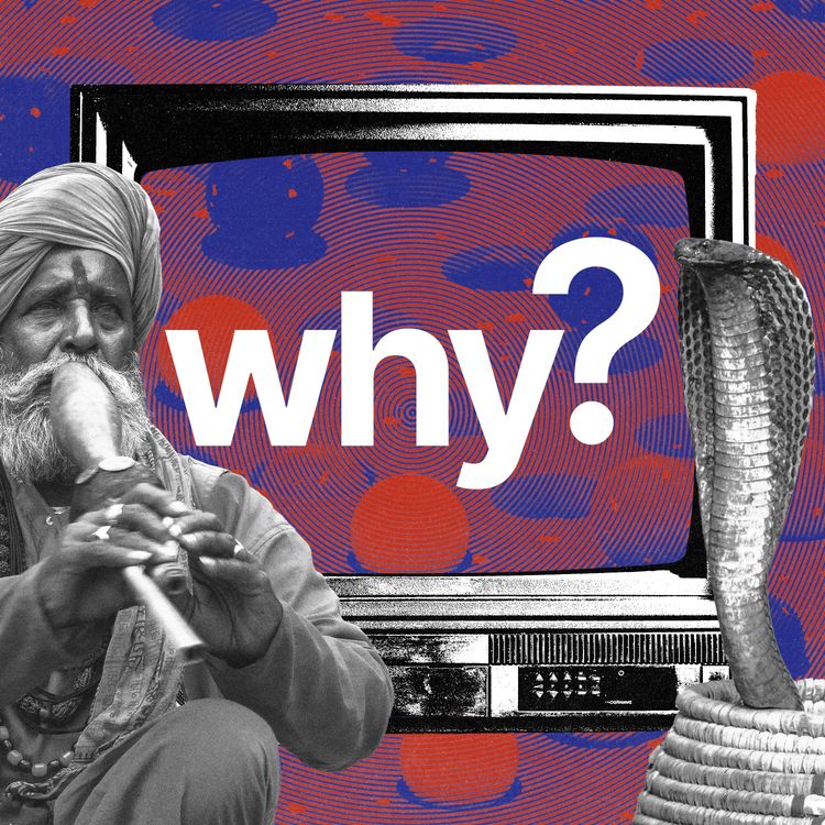 cover art for Why do some animals have rhythm?