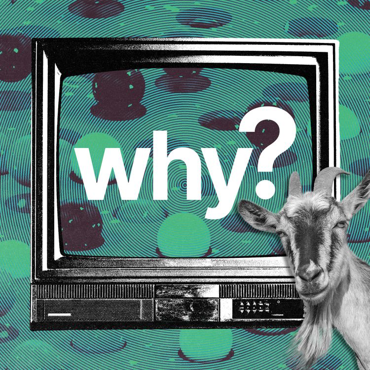 cover art for Why do animals have regional accents?