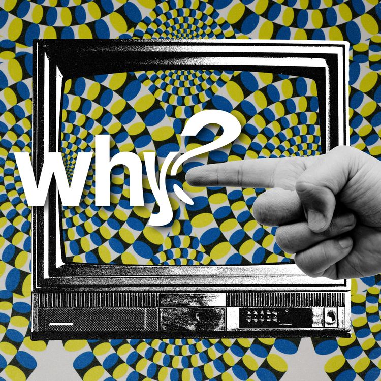 cover art for Am I living in a hallucination?