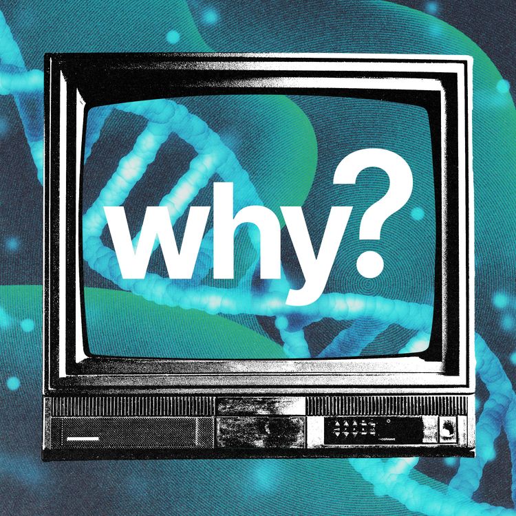 cover art for Should I be able to live forever?