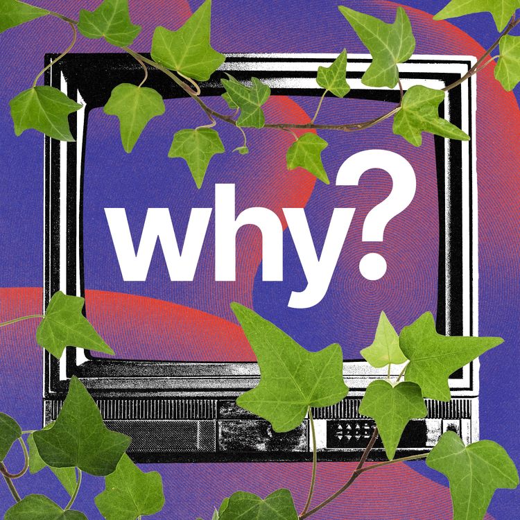 cover art for Can plants help us solve crimes?