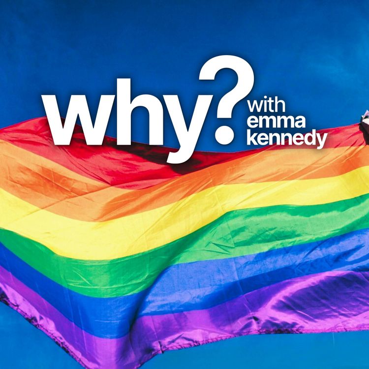 cover art for Why are some of us gay?