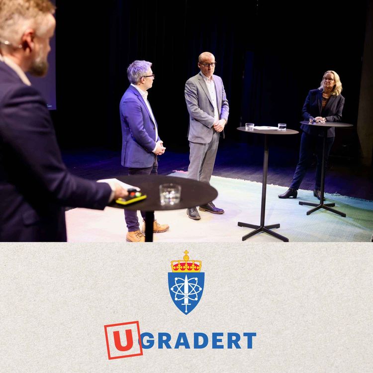 cover art for Ett år etter Assads fall - Hva skjer i Syria?