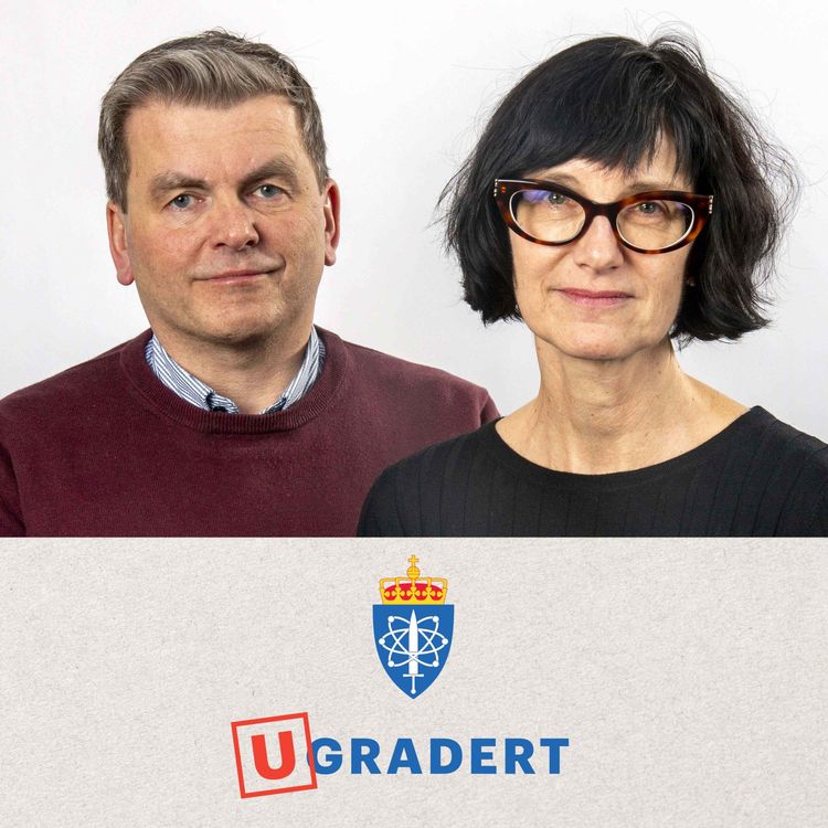 cover art for Korleis vil Totalforsvarsåret 2026 påverke deg? 