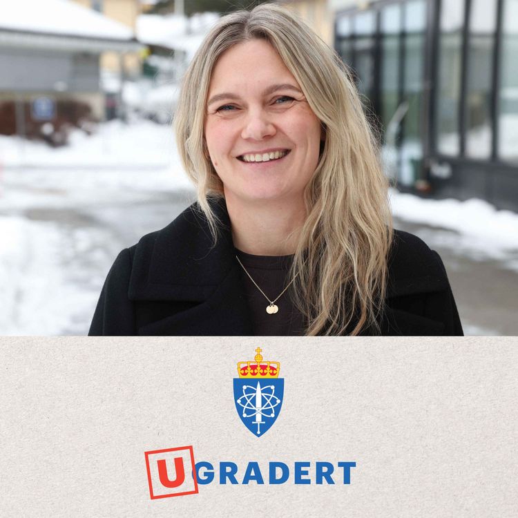 cover art for Slik kan Forsvaret bruke solceller i felt