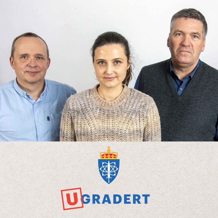 cover art for Fire år med fullskalakrig i Ukraina: Kan det bli fred?