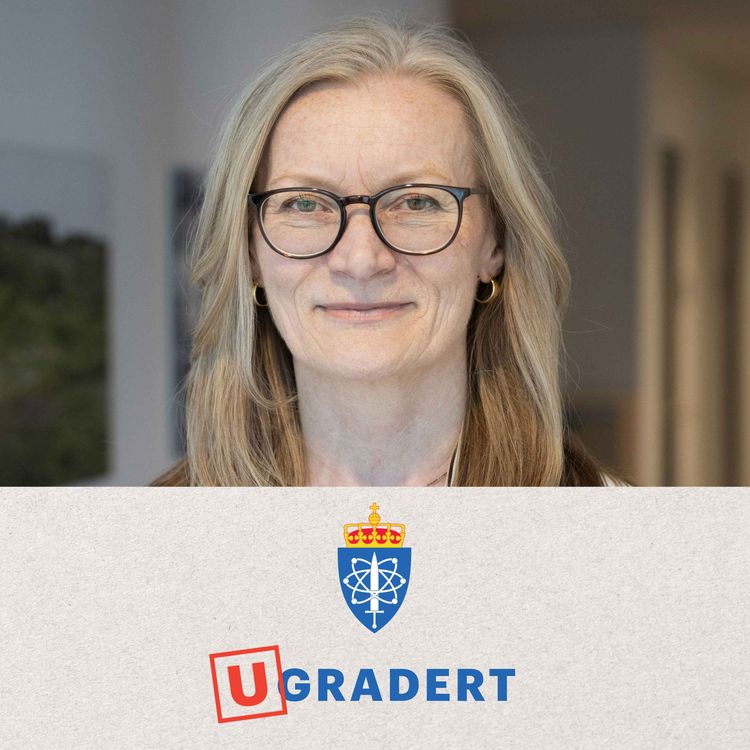 cover art for Hvor lett lar du deg lure av falske nyheter og KI?